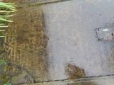 image of grave number 956828
